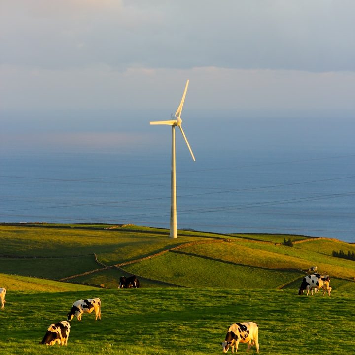 Erneuerbare Energien als Grundlage effizienter Heizlösungen Windkraftanlage in ländlicher Landschaft – Symbol für erneuerbare Energie und nachhaltige Stromerzeugung